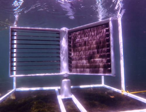 Marine Hydrokinetic Turbine Testing